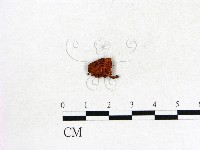 登錄號:F0022043藏品圖，第3張