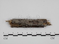 登錄號:F0022044藏品圖，第1張