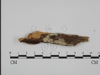 登錄號:F0022045藏品圖，第1張