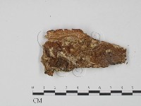登錄號:F0022048藏品圖，第3張