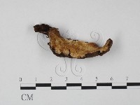 登錄號:F0022049藏品圖，第1張
