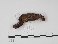 登錄號:F0022049藏品圖，第3張