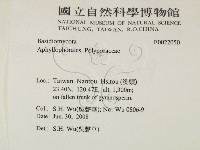 登錄號:F0022050藏品圖，第2張