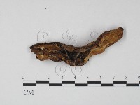 登錄號:F0022050藏品圖，第1張