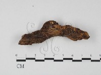 登錄號:F0022050藏品圖，第3張