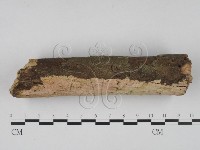 登錄號:F0022057藏品圖，第3張