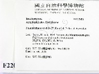 登錄號:F0022058藏品圖，第2張