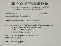 登錄號:F0022059藏品圖，第2張