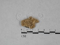 登錄號:F0022059藏品圖，第1張