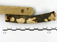 登錄號:F0022061藏品圖，第3張