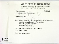 絲皮菌屬藏品圖，第2張