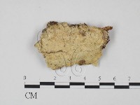 登錄號:F0022063藏品圖，第1張