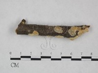 登錄號:F0022064藏品圖，第4張