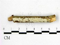 登錄號:F0022065藏品圖，第1張