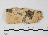 登錄號:F0022067藏品圖，第1張