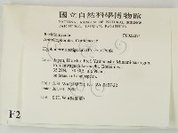 剛毛絲皮菌藏品圖，第2張
