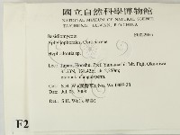 絲齒菌屬藏品圖，第2張