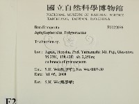附毛菌屬藏品圖，第2張