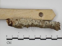 登錄號:F0022079藏品圖，第1張