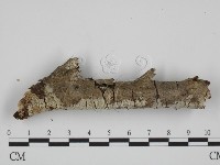 登錄號:F0022079藏品圖，第3張