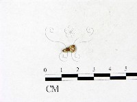 登錄號:F0022080藏品圖，第3張