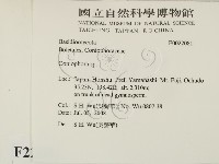 登錄號:F0022081藏品圖，第2張