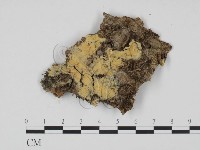 登錄號:F0022081藏品圖，第1張