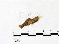 登錄號:F0022082藏品圖，第1張