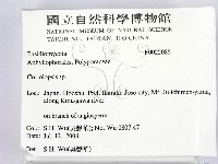 登錄號:F0022085藏品圖，第2張