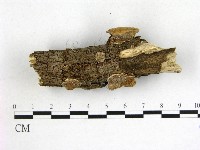 登錄號:F0022085藏品圖，第1張