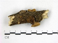 登錄號:F0022085藏品圖，第3張