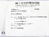 登錄號:F0022089藏品圖，第2張