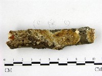 登錄號:F0022091藏品圖，第1張