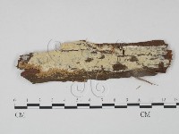 登錄號:F0022092藏品圖，第1張