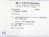 樹狀皮革菌屬藏品圖，第2張