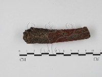 登錄號:F0022096藏品圖，第1張