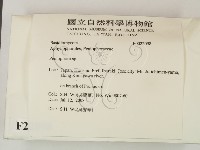 筍殼菌屬藏品圖，第2張