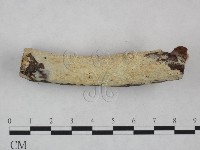 登錄號:F0022100藏品圖，第3張