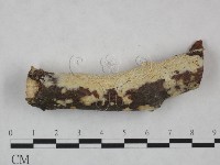 登錄號:F0022100藏品圖，第4張