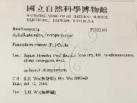 登錄號:F0022101藏品圖，第2張