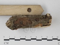 登錄號:F0022101藏品圖，第3張