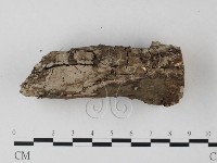 登錄號:F0022101藏品圖，第4張