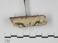 登錄號:F0022102藏品圖，第3張