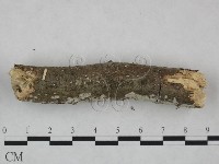 登錄號:F0022102藏品圖，第4張