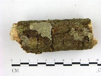 登錄號:F0022103藏品圖，第1張