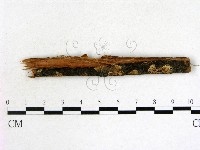 登錄號:F0022105藏品圖，第1張