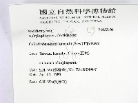 登錄號:F0022106藏品圖，第2張