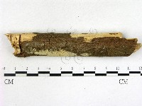 登錄號:F0022107藏品圖，第1張