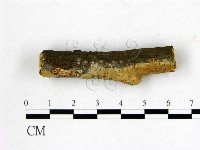 登錄號:F0022108藏品圖，第1張