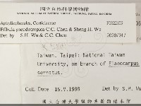 雲南無扣菌藏品圖，第2張